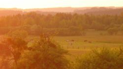 2013-06-08_Radtour_Iffeldorf-Aiderbichl (249)c.JPG
